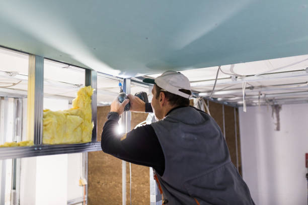 Best Specialized Insulation Services in Central Square, NY